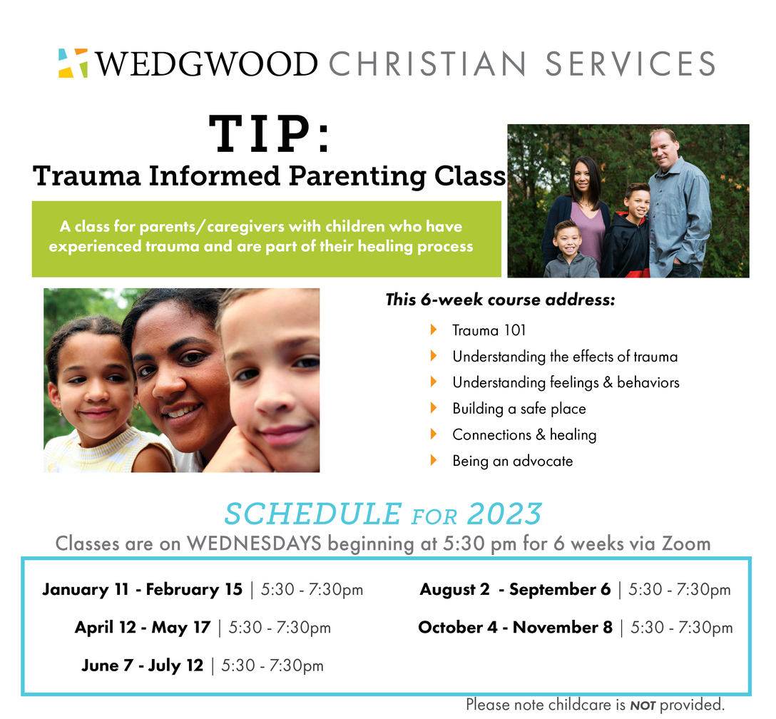 Trauma Informed Parenting Class For Healing And Support   1d992b35 Ccce 48a2 8e32 2dd6da3762a2 